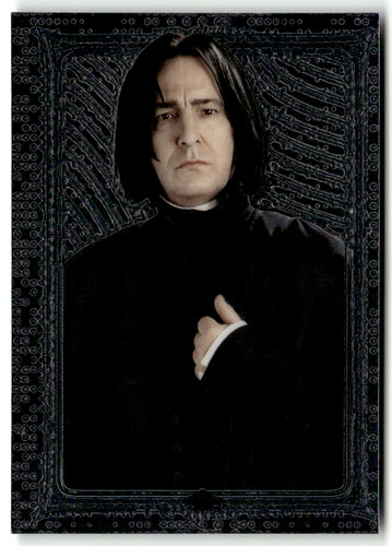 Panini harry potter - harry,