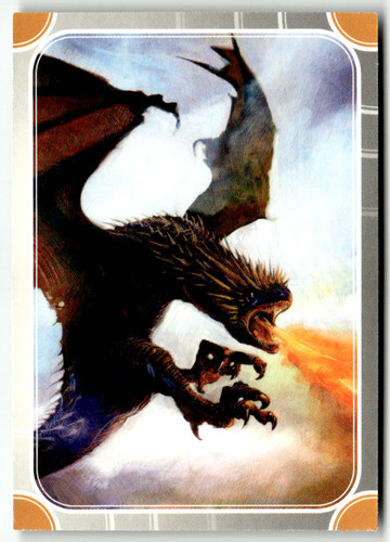 Panini harry potter - panini,