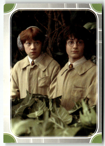Panini harry potter - harry,