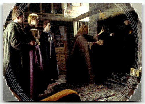 Panini harry potter - panini,