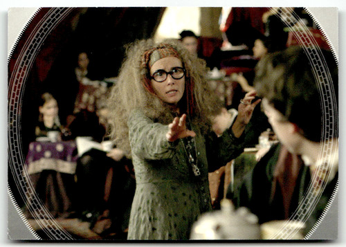 Panini harry potter - panini,