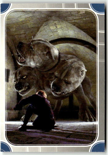 Panini harry potter - panini,