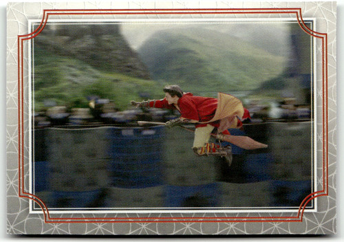 Panini harry potter - panini,