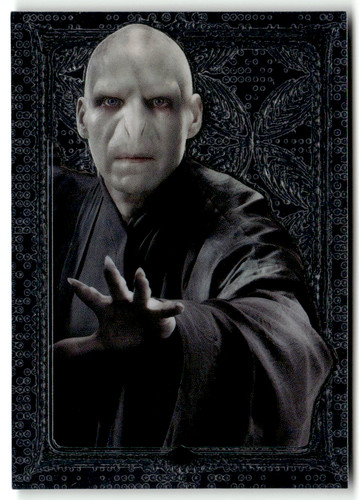 Panini harry potter - harry,