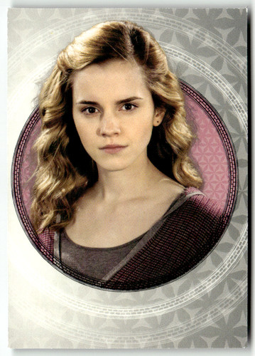 Panini harry potter - harry,