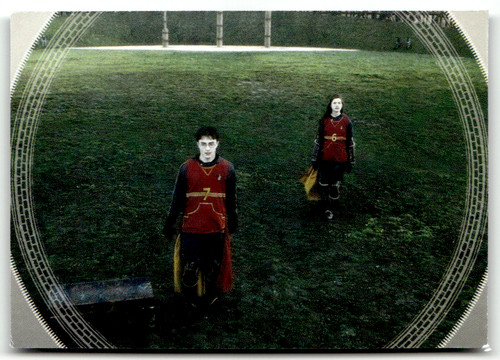 Panini harry potter - panini,
