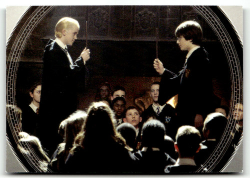 Panini harry potter - harry,