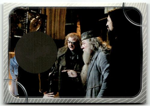 Panini harry potter - panini,