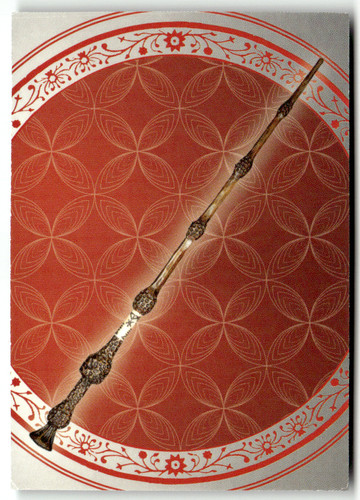 Panini harry potter - panini,