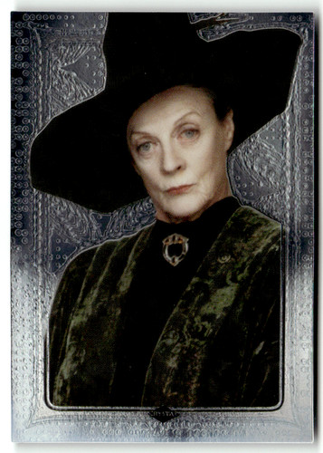 Panini harry potter - harry,