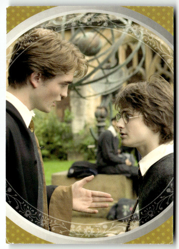 Panini harry potter - panini,