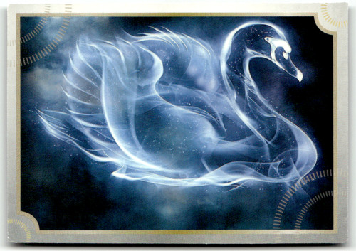 Panini harry potter - panini,