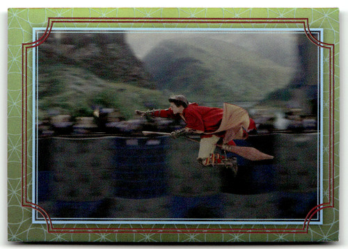 Panini harry potter - harry,