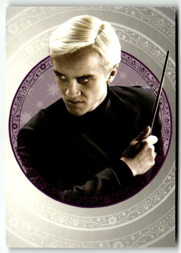 Panini harry potter - panini,