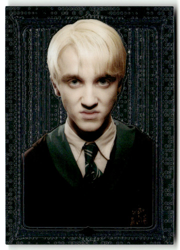 Panini harry potter - panini,