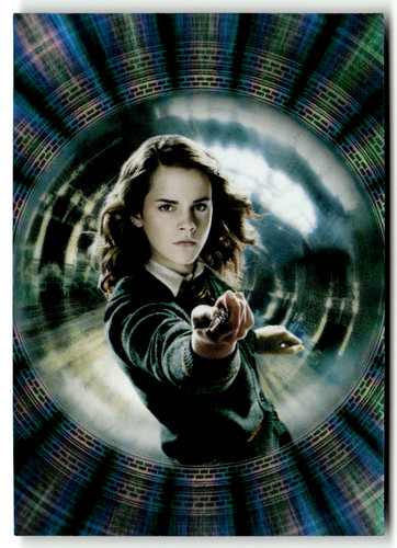 Panini harry potter - panini,