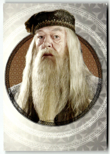 Panini harry potter - panini,