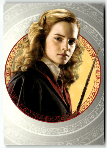 Panini harry potter - harry,
