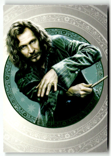 Panini harry potter - panini,