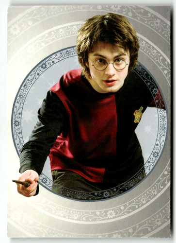 Panini harry potter - harry,