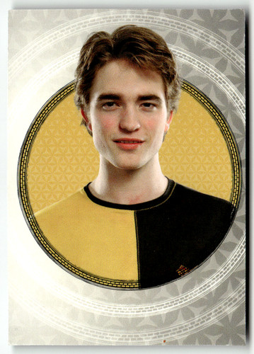 Panini harry potter - panini,